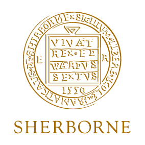 SS logo 1x1 hamstone.png